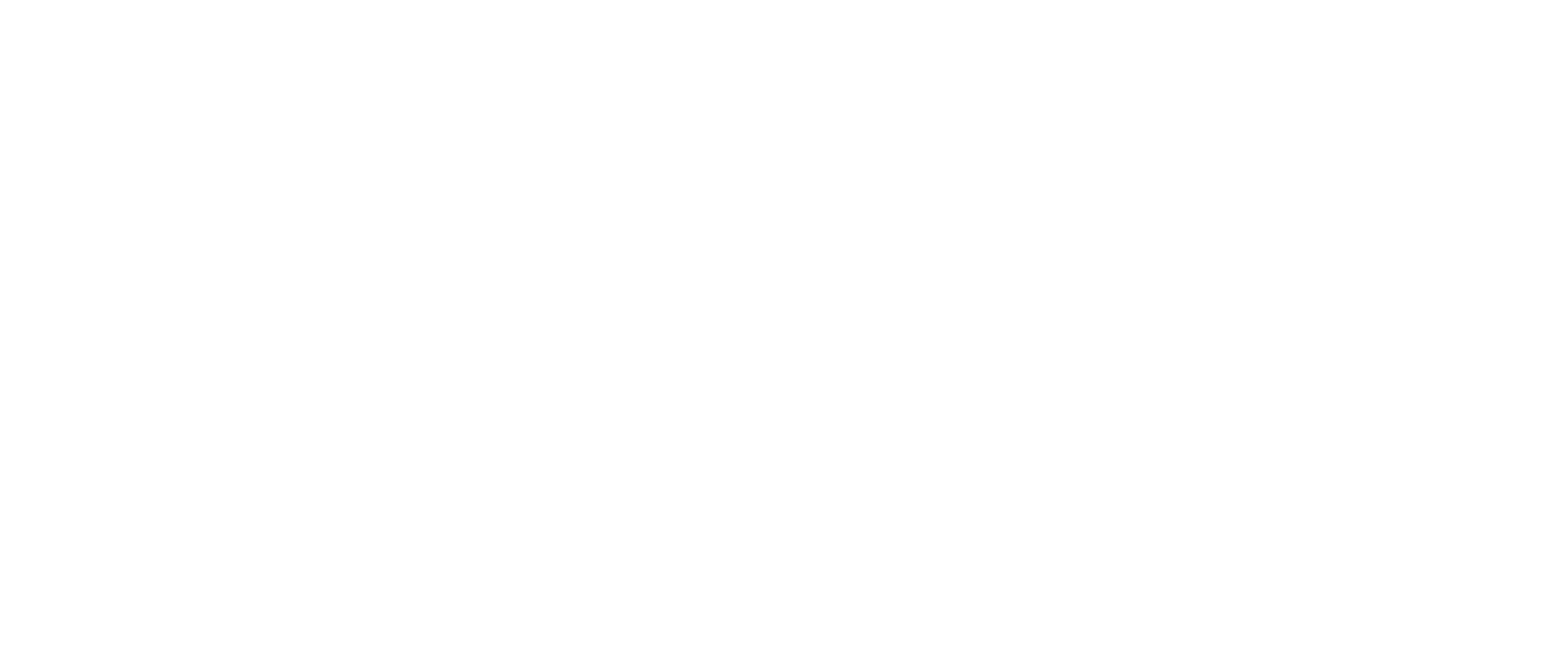 logorutranscolblanco